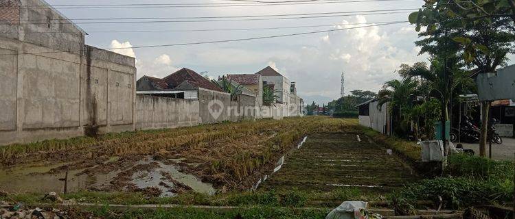 Tanah Jalan Poros Ponorogo , Jawa Timur  1