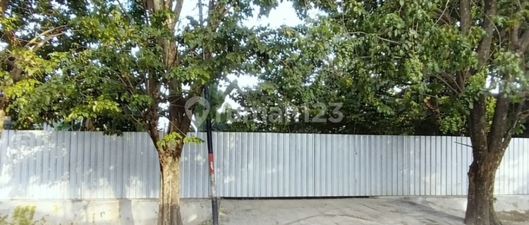 Tanah Syuhada Raya Tlogosari 1