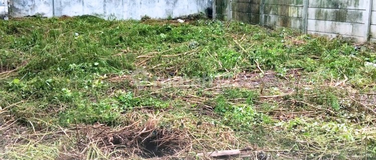 Land Jl. Karangturi Tiber 1