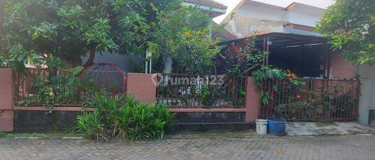 Rumah Asri Tembalang  1