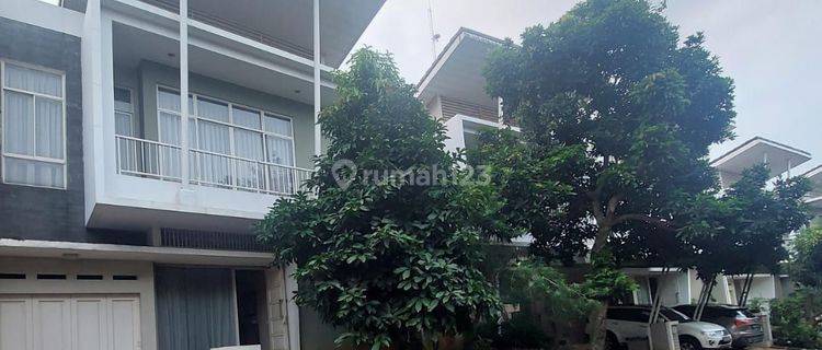 Rumah Rapi Siap Huni Lingkungan Asri di The Spring Gading Serpong  1