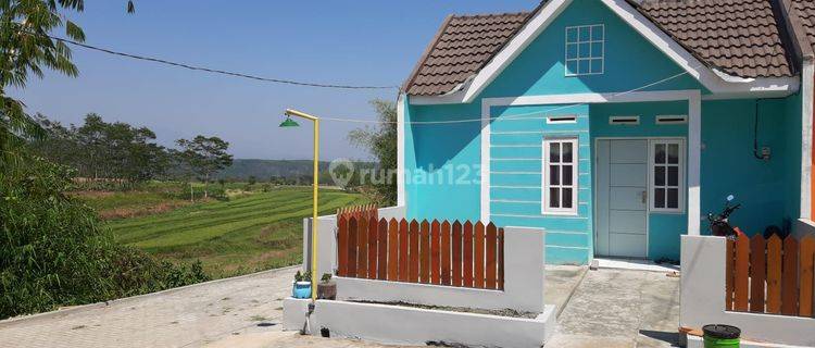 Green Hill 4 Rumah Subsidi 8 Menit Dari Terminal Cangkiran 1