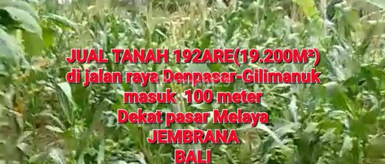 Jual Tanah Di Jalan Raya Denpasar Gilimanuk 1