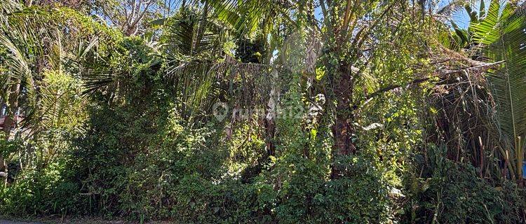 Dijual Tanah Pejeng Kangin, Gianyar Dekat Ubud 1