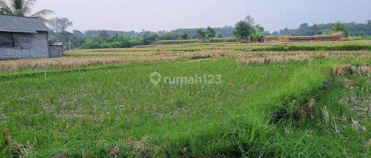 Sebidang Tanah Di Pinggir Jalan Utama Bypass Ida Bagus Mantra  1