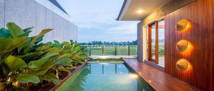 Villa Turun Harga Di Lodtunduh Ubud View Sawah