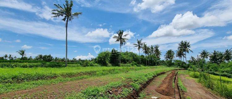 Dijual Tanah Eksklusif Di Lodtunduh, Ubud: 1