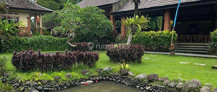 Di Jual Lahan Bonus Bangunan Lokasi Carang Sari Badung  1