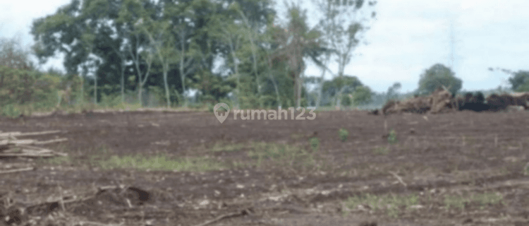 Tanah Murah Kumpulsari Purworejo, Tanah Dekat Pantai Roro Inten 1