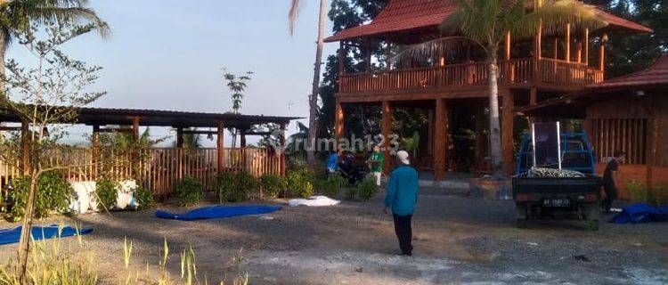 Tanah Murah di Girimulyo Pengasih Kulon Progo 1