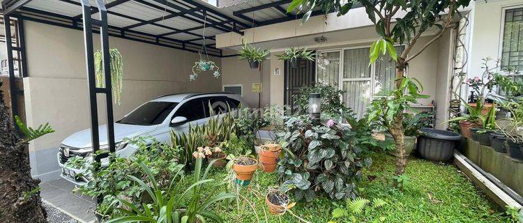 Dijual rumah di royal tajur harga nego sampai Deal 1