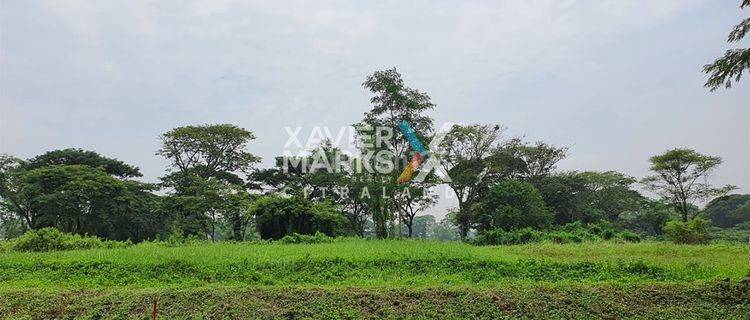 Tanah Citraland Bukit Golf International View Golf 1