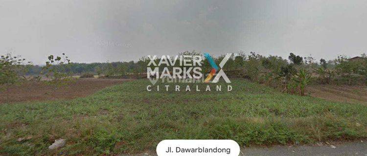 Tanah Nol Jalan Dawar Blandong Peruntukan Bisa Buat Industry 1