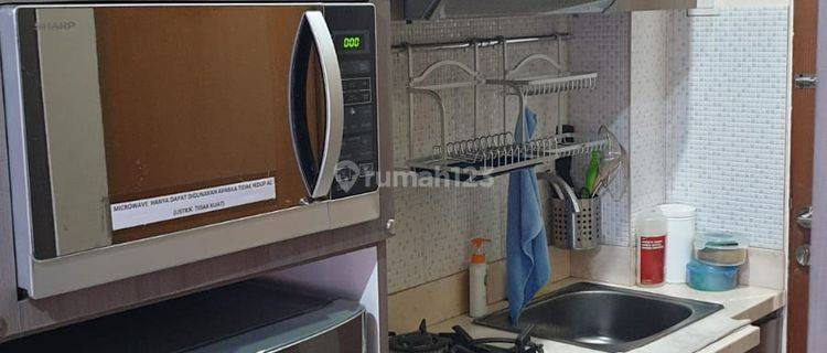 Apartemen Tifolia Studio Fully Furnished Bagus 1