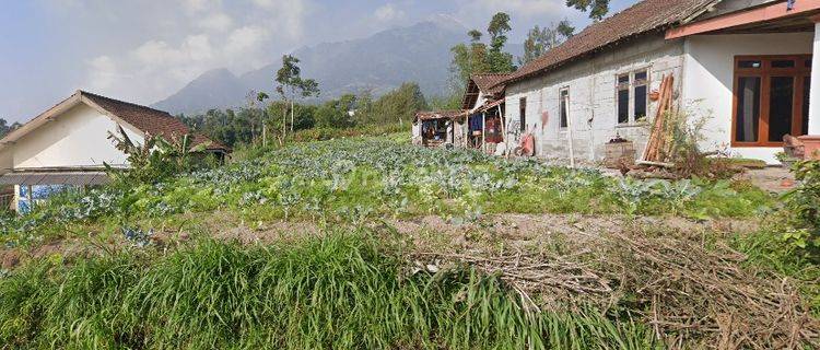 Dijual Tanah Luas Dengan View Gunung Merbabu 1