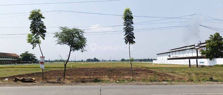 Dijual Tanah Luas Lokasi Tengah Kota Pati Jawa Tengah 1