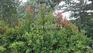 Dijual Tanah Lokasi Strategis Di Pudak Payung Semarang LT. 73 1