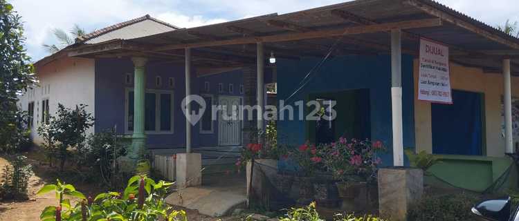 Rumah Dijual Desa Pinang Sebatang Bangka Tengah 1