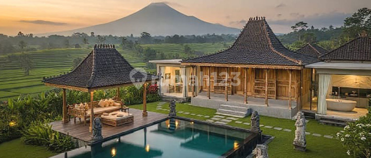 Joglo Kudus House, 20 Soko Tumpangsari, Rare 3D Carved Gebyok 1