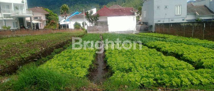 Tanah Murah Harga Di Bawah Njop Belakang Among Tani  1