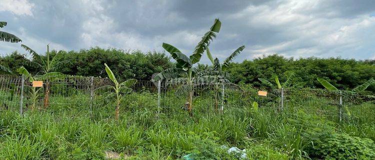 Tanah Industri di Moh Toha Km 5, Periuk Lt. 24087 M² Tangerang 1