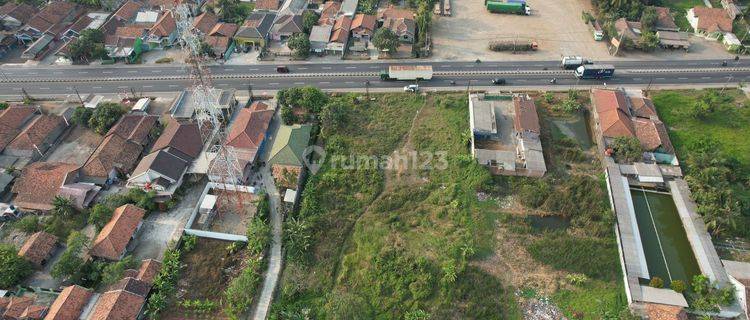  Tanah di Raya Pantura Tanjungrasa, Patok Beusi 3610 M² 1