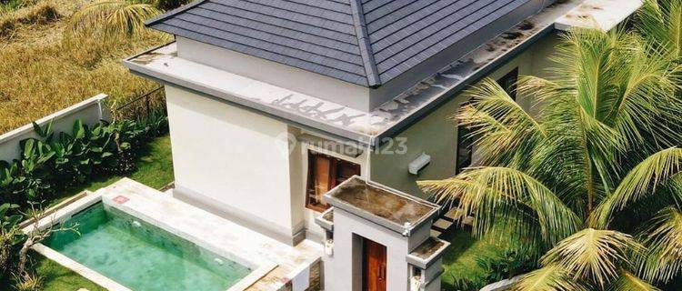  Dijual Villa Modern Yang Terletak Di Tampaksiring Ubud Gianyar 1