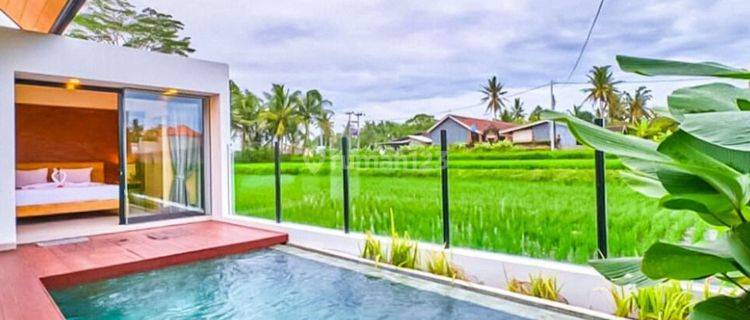 Villa Tepi Sawah, Style Modern Tropis Di Lodtunduh, Ubud Bali 1