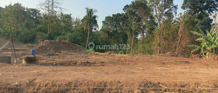 Jual Tanah Banyumanik Murah 100jutaan Tanah di Jalan Pucung Pudak Payung Banyumanik Semarang 1