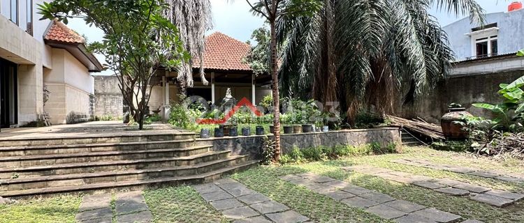 Cilandak - Andara Street 1