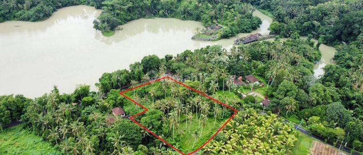 Tanah di Telaga Tunjung Timpag, Tabanan SHM 5.800 m² 1