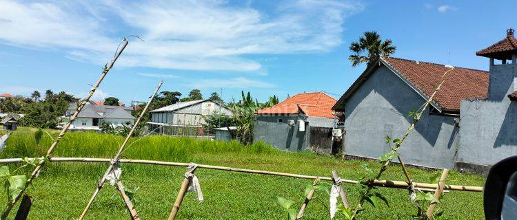 Good Prospective Land Close To Nyanyi Beach  1