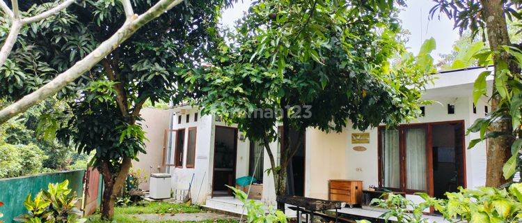 RUMAH ASRI 10 MINUTES TO THE BEACH  1