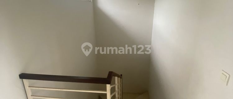 For rent: Avani House in BSD 1