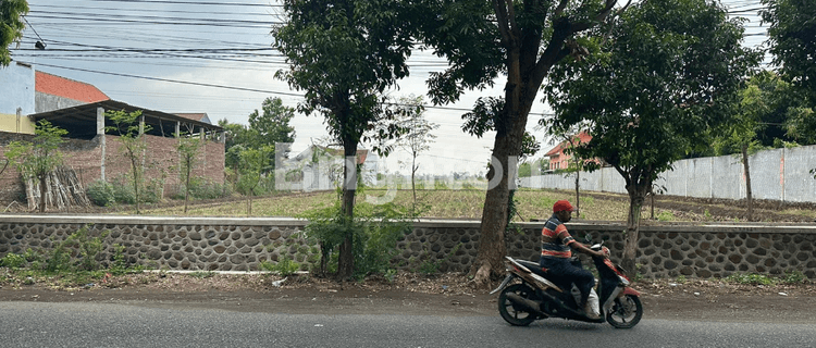 KAVLING DI JL. MASTRIP PROBOLINGGO COCOK UTK GUDANG 1