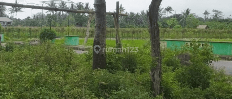 Di Jual Tanah Dekat Lapas Cebongan Jogja Untuk Kost Dan Ruang Usaha di Cebongan 1