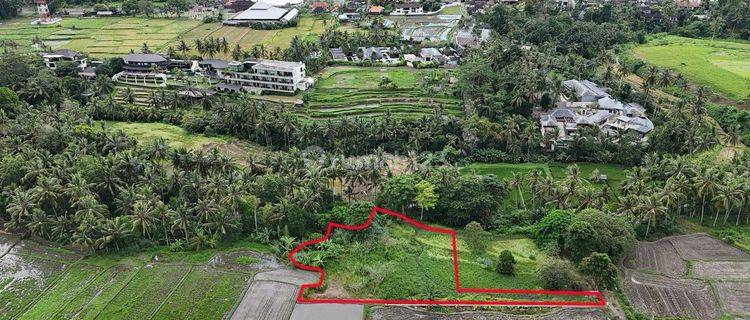 Tanah Lodtunduh Ubud Lingkungan Villa View Sawah # Monkey Forest 1
