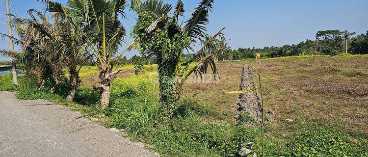 Tanah 6,3 Are di Kedungu Dekat Pantai Cinta Tanah Lot Nyanyi 1