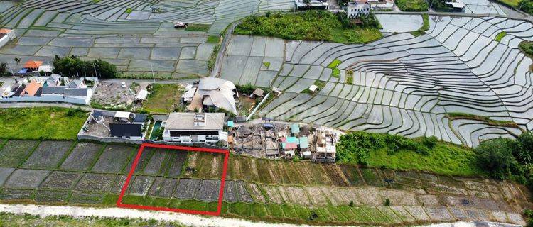 Tanah Disewakan View Sawah Di Cemagi Mengwi Dekat Seseh Canggu  1