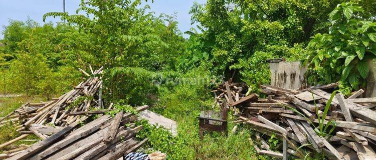 Tanah 6 Are di Pererenan Mengwi Dekat Canggu Seseh Tumbak Bayuh 1