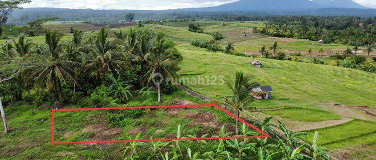 Tanah 7 Are Dkt Jln Utama Denpasar Gilimanuk Selemadeg Tabanan 1