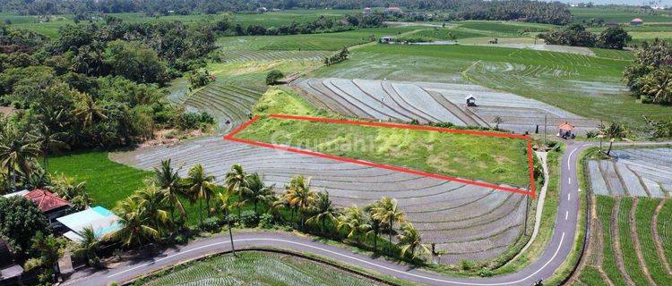 Tanah Dekat Pantai Abian Kapas Beraban Selemadeg Timur Tabanan 1