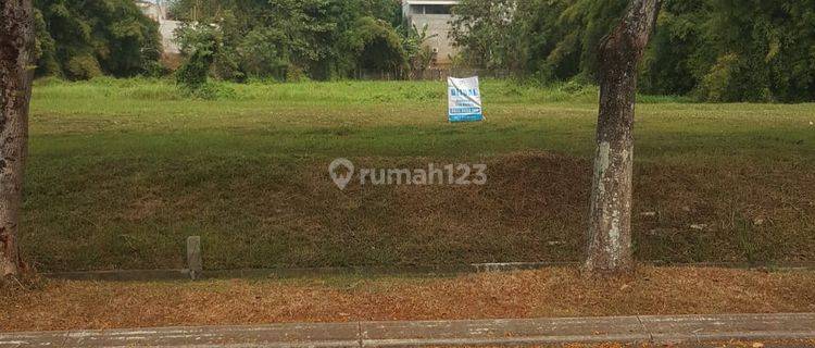 Tanah Kavling Deltamas Cikarang Luas 2.600 Rp. 780 Jt Tahun 1