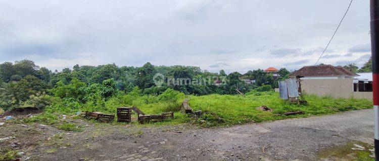 Land Kavling By Pass Ir Soekarno Kediri Tabanan near denpasar 1