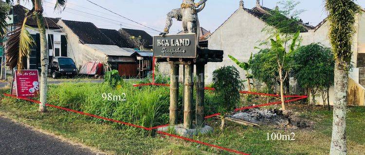 Tanah Bonus View Sawah di Jl Senapahan Banjaranyar Tabanan  1