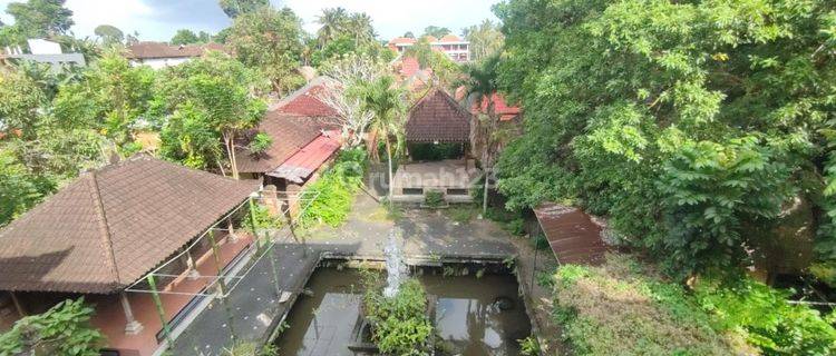 Langka Tanah di Mas Ubud Kawasan Villa Jl Nyuh Kuning Bali 1