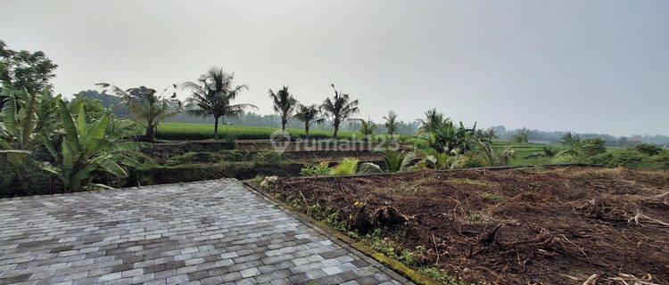 Tanah View Sawah Rasa Ubud di Utara Kota Tabanan Jl Batukaru 1