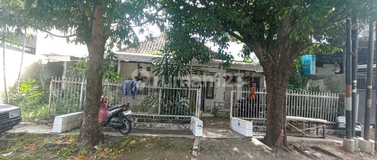 Jual Rumah Hitung Tanah Murah Meriah Sompok Semarang Selatan 1