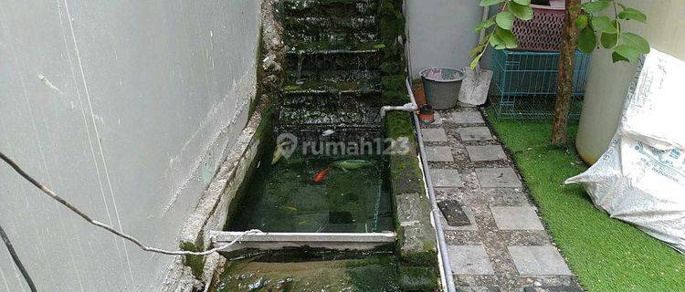 Dijual Ruko Ruko Petemon Timur Surabaya Area Sawahan 1