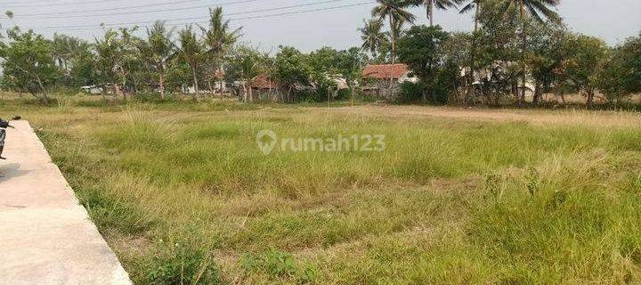 Tanah Murah Pergudangan 19 Laksana SHM Dekat Pik2 1